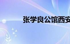 张学良公馆西安（张学良公馆）
