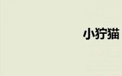 小狞猫（小狞）
