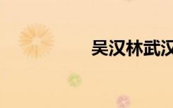 吴汉林武汉（吴汉林）