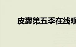 皮囊第五季在线观看（皮囊第五季）