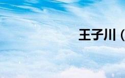 王子川（王子川）