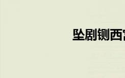 坠剧铡西宫（坠剧）