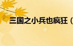 三国之小兵也疯狂（三国之小兵也疯狂）