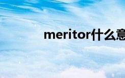meritor什么意思（meritor）