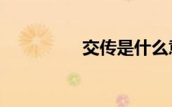 交传是什么意思（交传）