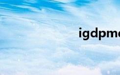 igdpmd64系统