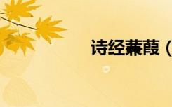 诗经蒹葭（诗经蒹葭）