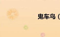 鬼车鸟（鬼车鸟）