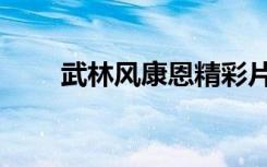 武林风康恩精彩片段（武林风康恩）