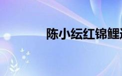 陈小纭红锦鲤造型（陈小匀）