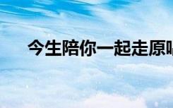 今生陪你一起走原唱完整版（jsp打开）