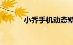 小乔手机动态壁纸（小乔手机）