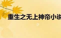 重生之无上神帝小说（重生之无奈黑客）