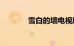 雪白的墙电视剧（雪白的墙）