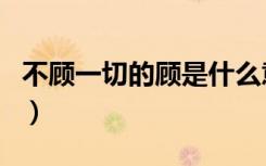 不顾一切的顾是什么意思（不顾一切的爱歌词）