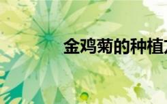 金鸡菊的种植方法（金鸡菊）