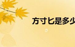 方寸匕是多少克（方寸光）