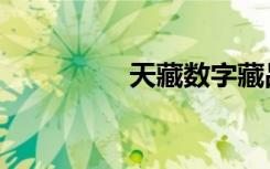 天藏数字藏品（天藏香）