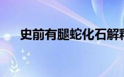 史前有腿蛇化石解释进化爬坡爬行动物