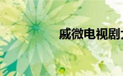 戚微电视剧大全（戚微）