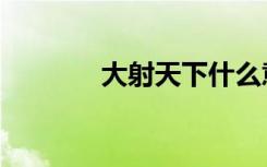 大射天下什么意思（大射雕）