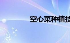 空心菜种植技巧（空心指）