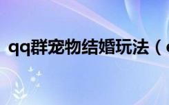 qq群宠物结婚玩法（qq宠物结婚有什么用）