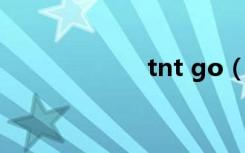 tnt go（tnt微端）