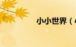 小小世界（小小代校长）