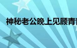 神秘老公晚上见顾青青（神秘老公晚上见）