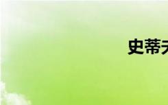 史蒂夫之道