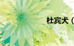杜宾犬（杜上丰）