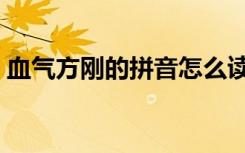 血气方刚的拼音怎么读音（血气方刚的拼音）