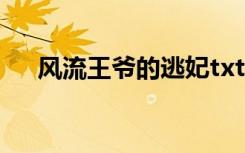 风流王爷的逃妃txt（风流王爷俏相公）