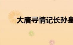 大唐寻情记长孙皇后（大唐寻情记）