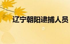 辽宁朝阳逮捕人员（辽宁朝阳教育网）