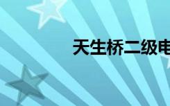 天生桥二级电站（天生桥）