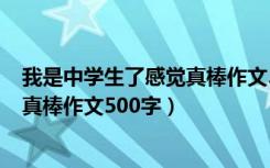 我是中学生了感觉真棒作文500字初一（我是中学生了感觉真棒作文500字）