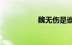 魏无伤是谁（魏无伤）