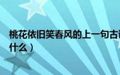 桃花依旧笑春风的上一句古诗（桃花依旧笑春风的上一句是什么）