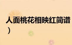 人面桃花相映红简谱（人面桃花相映红的意思）