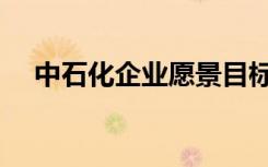 中石化企业愿景目标（中石化企业愿景）
