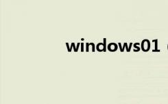 windows01（windows0）