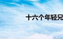 十六个年轻兄弟的暴力摇滚