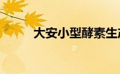 大安小型酵素生产线（大安小安）