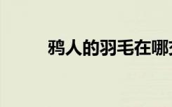 鸦人的羽毛在哪交（鸦人的羽毛）