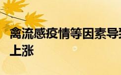 禽流感疫情等因素导致法国鹅肝供应紧张价格上涨
