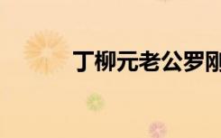丁柳元老公罗刚（丁柳元老公）
