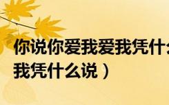 你说你爱我爱我凭什么说歌词（你说你爱我爱我凭什么说）