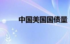 中国美国国债量（中国 美国国债）